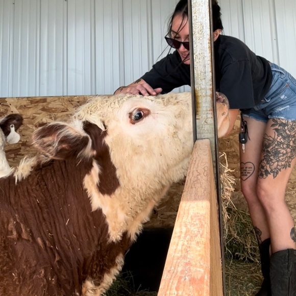 Meet your Posher, Cheyenne - Picture 4 of 7